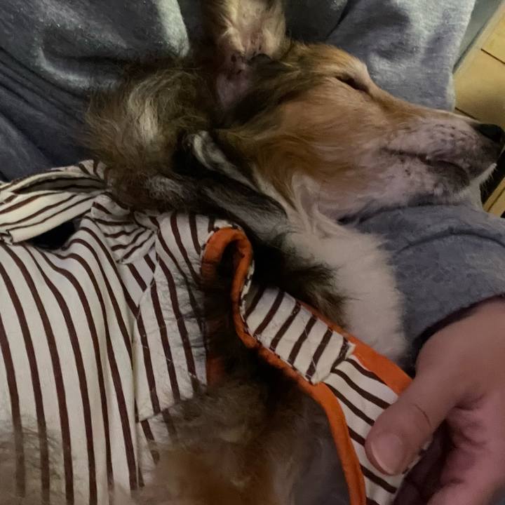 Bed3e9ab 6ee9 49aa 8cbb 4f6d247e29d2 1651749648024