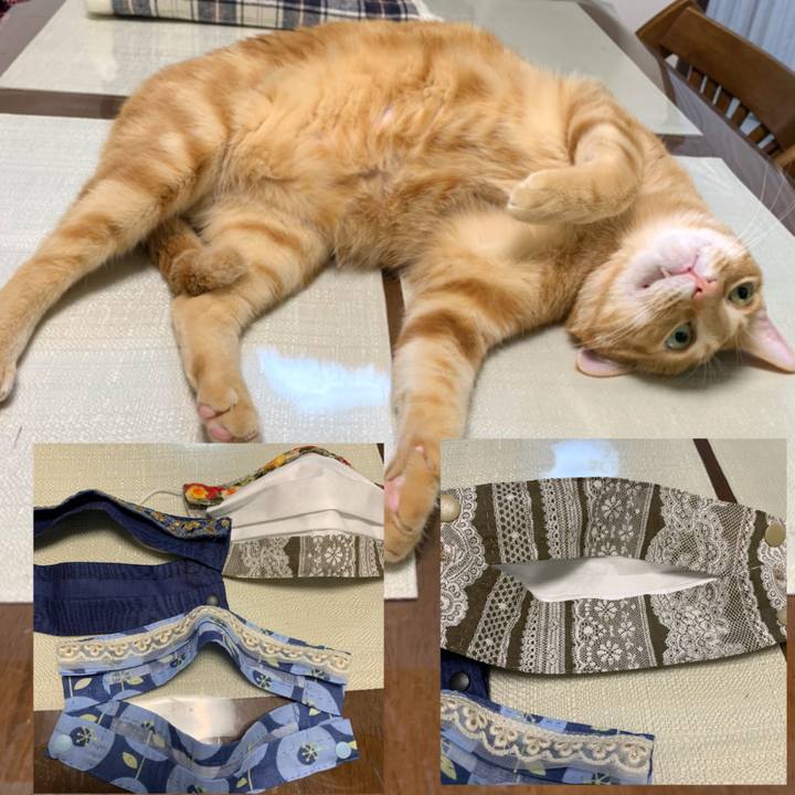 Bed42243 51d8 4acf 9bd3 7015c6733166 1621162883188