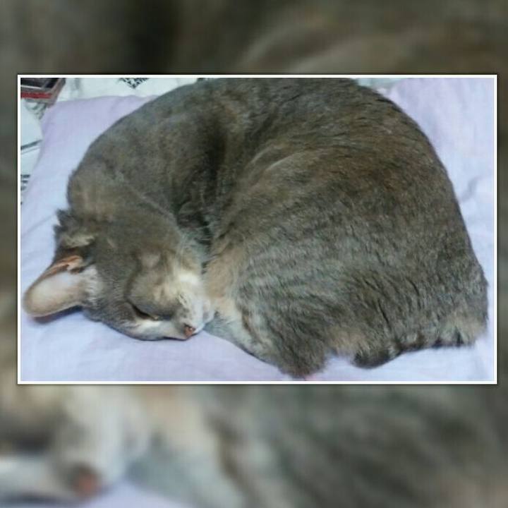 Bed451a5 774c 4d91 b55d 5bf7d62d53b6 1560082520415