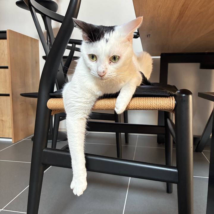 Bed489eb 5ef8 4ab7 be1d 96492fbea80c 1756695275415