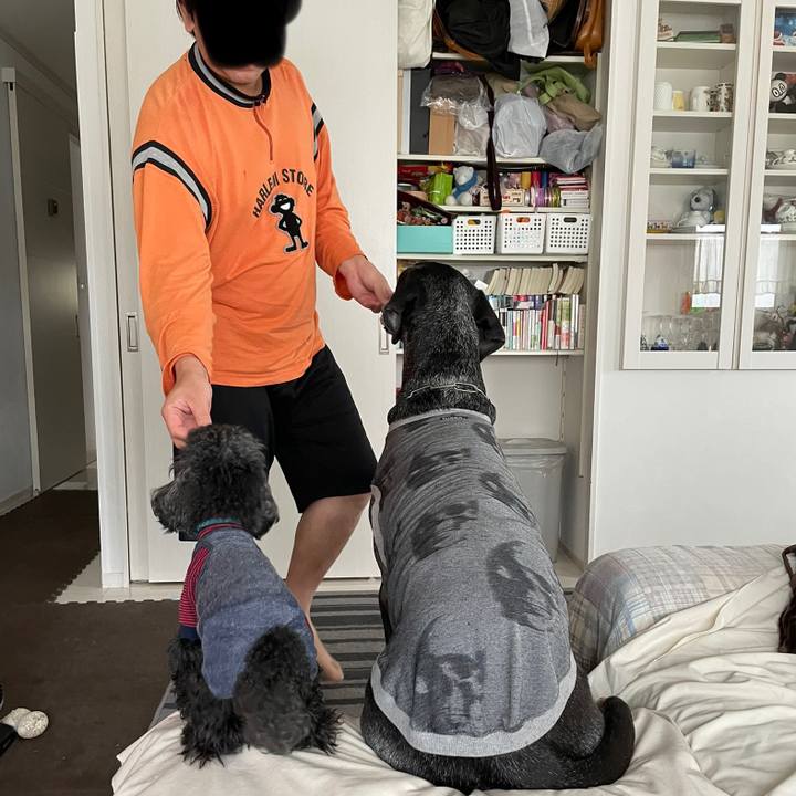 Bed4ead5 5552 457b 9491 4c57bf621741 1651381770856