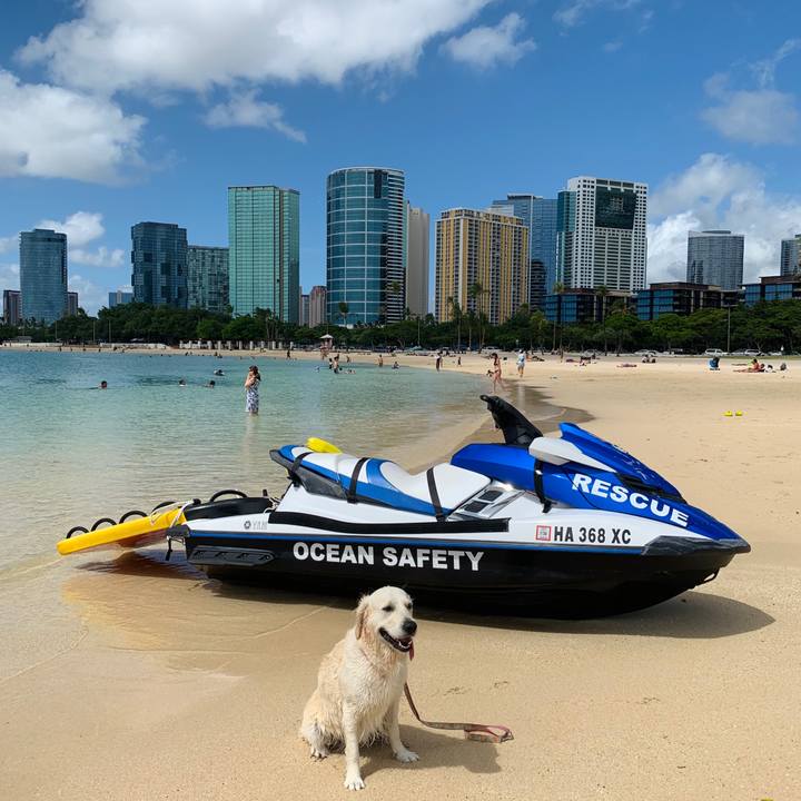 Bed4f457 e6b4 40bf bca1 e71af002caa9 1571532196021