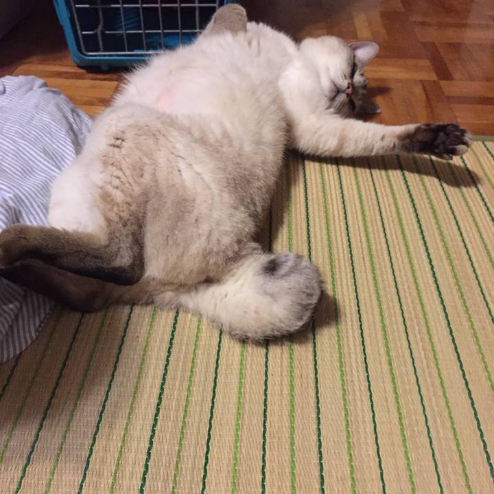 Bed50dbe 9485 4b12 a9ed 0521eafa213c 1530448308640