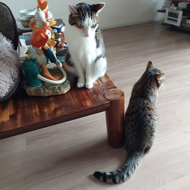 Bed5110c 0eb9 4e85 952d dad999e11c21 1713570360247