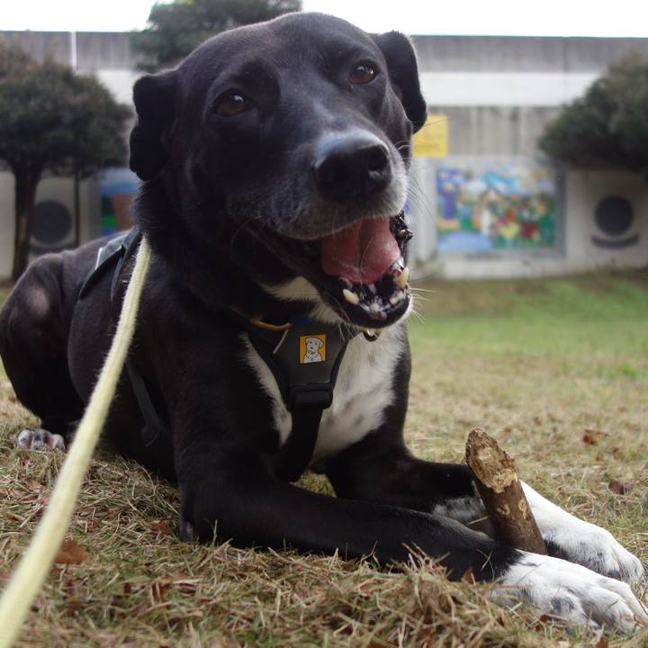 Bed533be 8f27 4157 b1f4 a2e46d2715d9 1637456259195