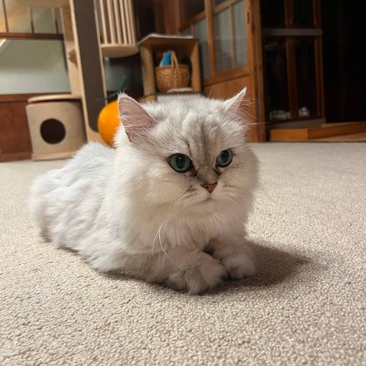 Bed5404d 3606 46a7 933e 2435e814b7a7 1720438806468