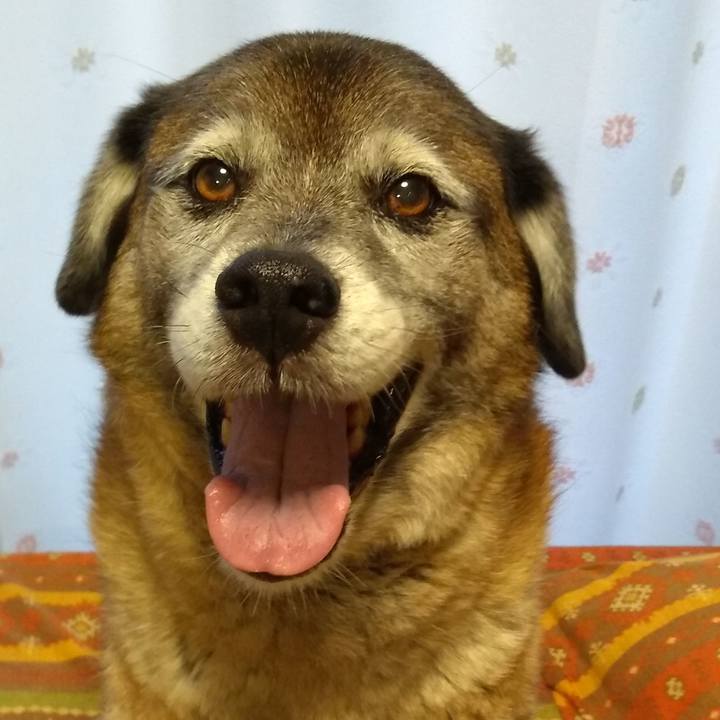 Bed565f3 eb4e 4777 a632 cd8ef0707465 1563700146061