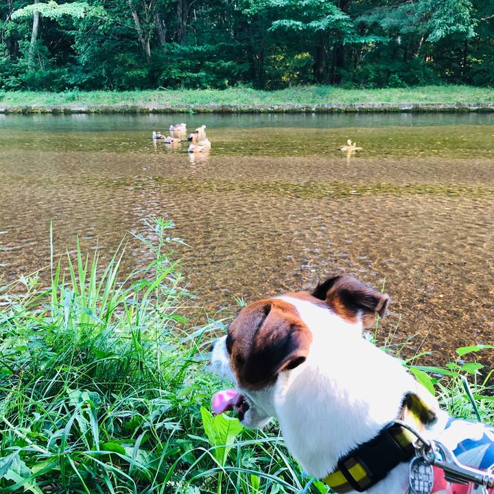 Bed57d08 fd6c 494e a6aa e484f6c2c23d 1597913636151