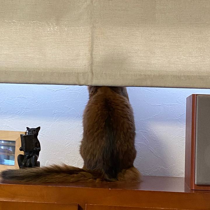 Bed5819d 8a4e 487e ab24 9d8d8678dd8e 1666249333952