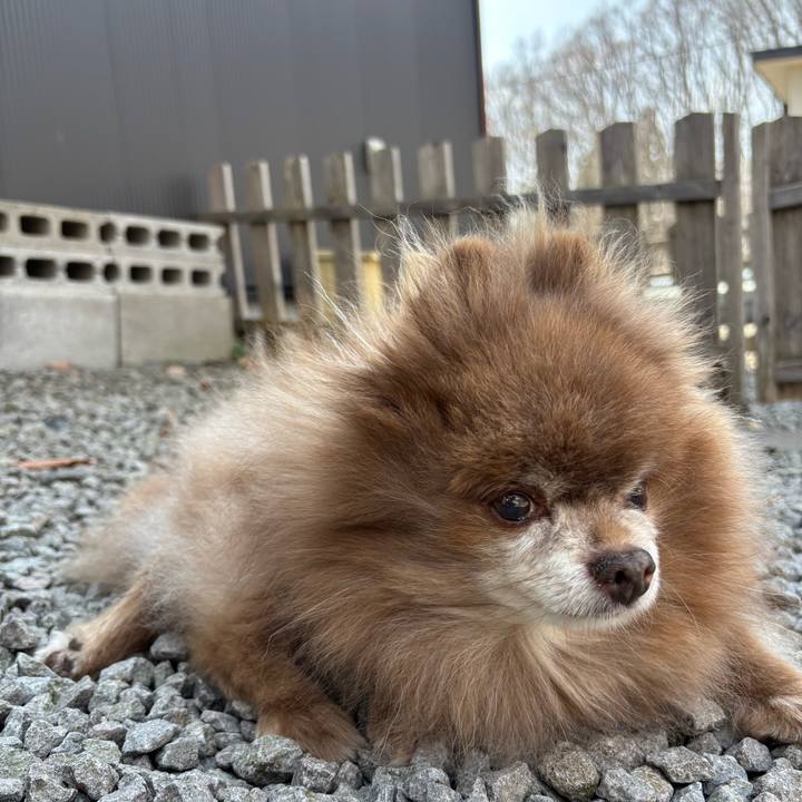 Bed58e7a a754 4d4e a2e2 a5a16ed603c5 1775013890000