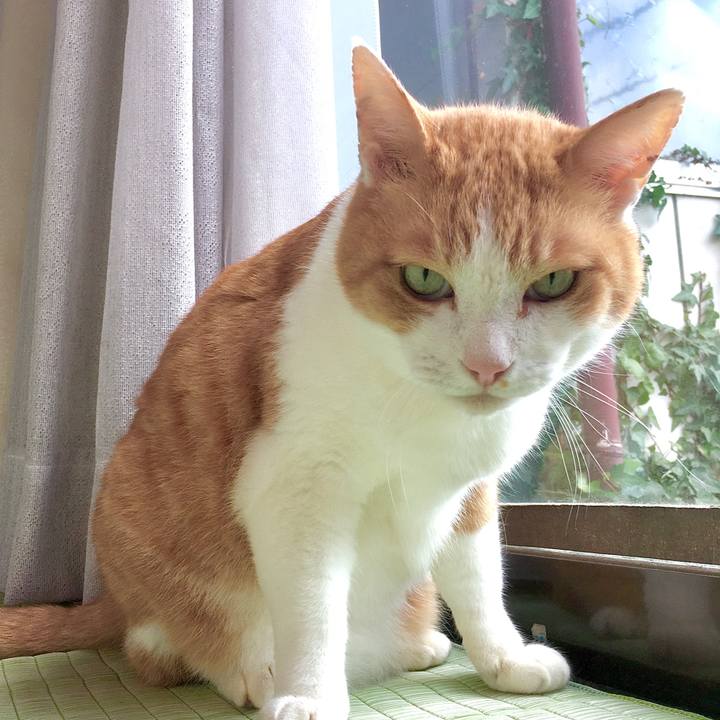 Bed59932 1dc1 4bed a514 082d45bc3a5e 1582605604798