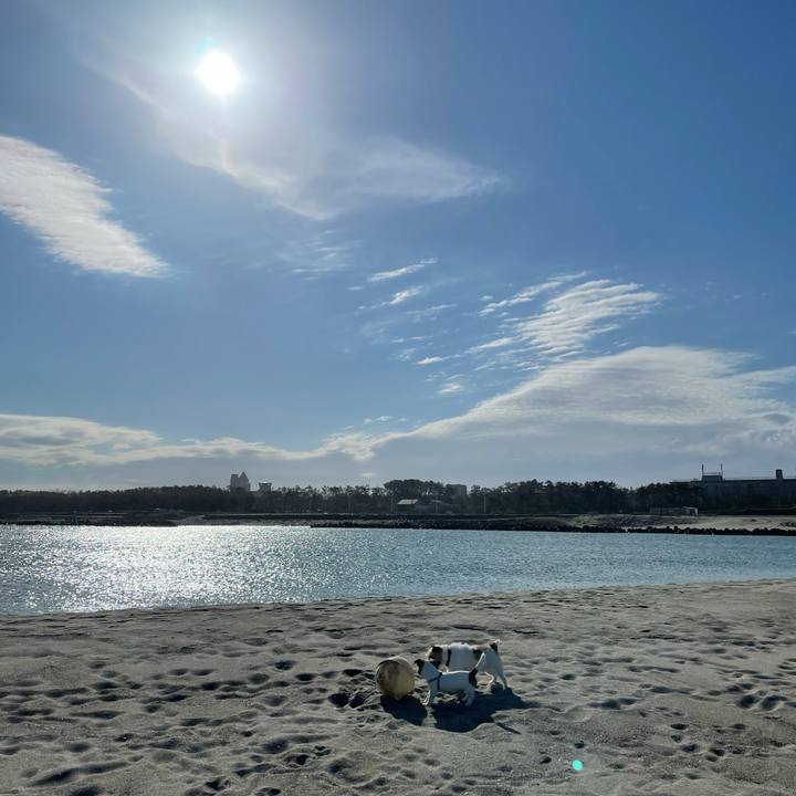 Bed5af84 38dc 4041 bdf1 b2def95d0734 1620603485021