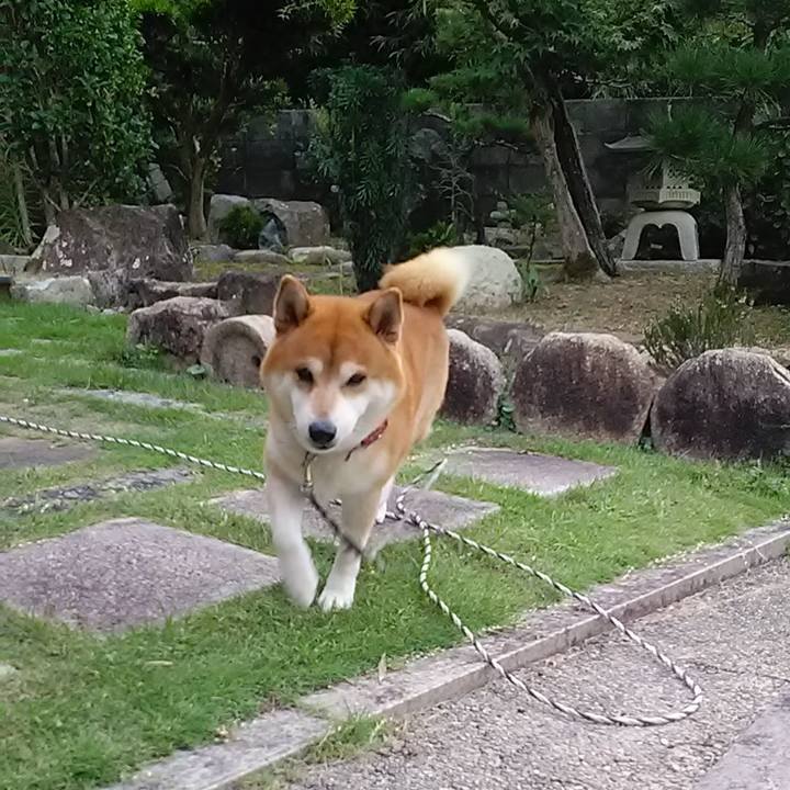 Bed5d03b 4a32 429d 80b9 cc01fff95721 1601955373932