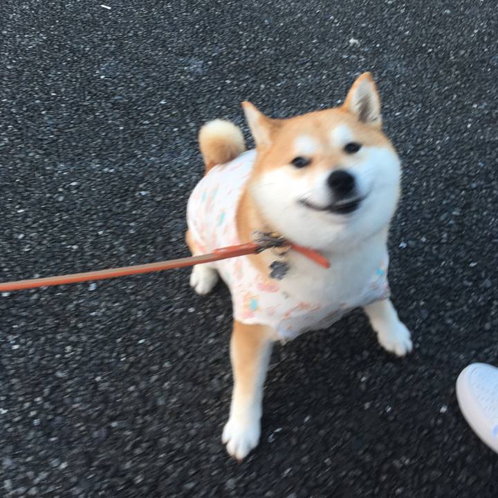 Bed603b5 49e9 4f1f 82a3 59af1be31648 1551781880085