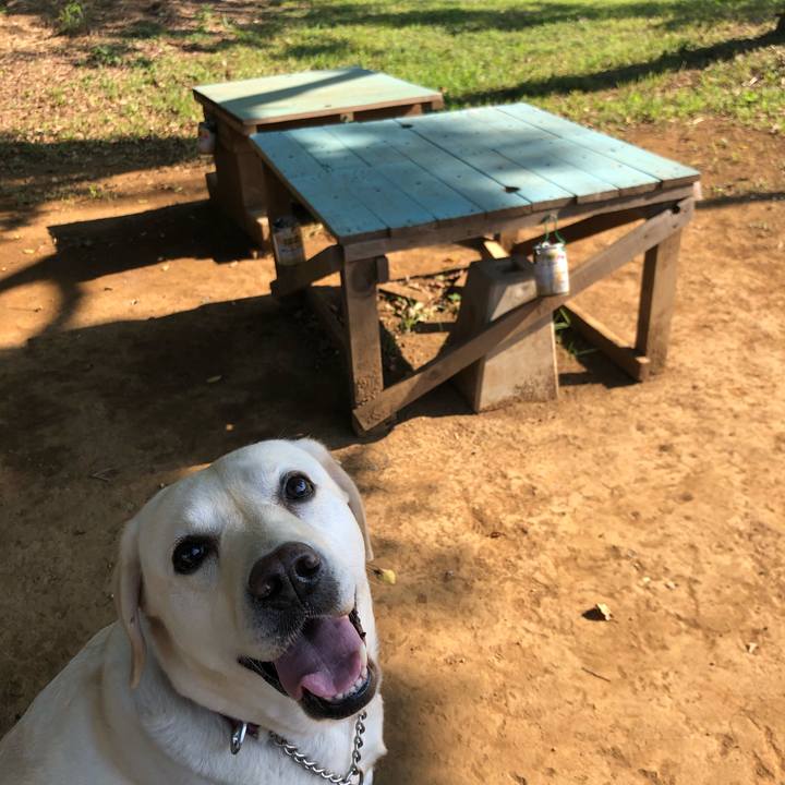 Bed6203a bf2a 4891 9dab 274bc511fddc 1632872524211