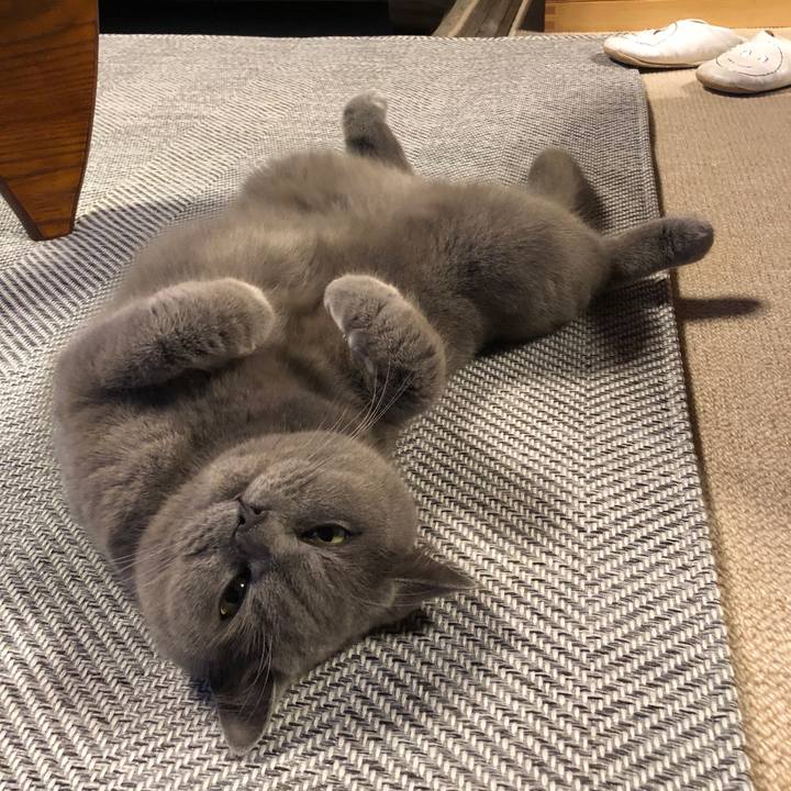 Bed62400 6f48 421a b59d 6598b21c8be9 1553001021852