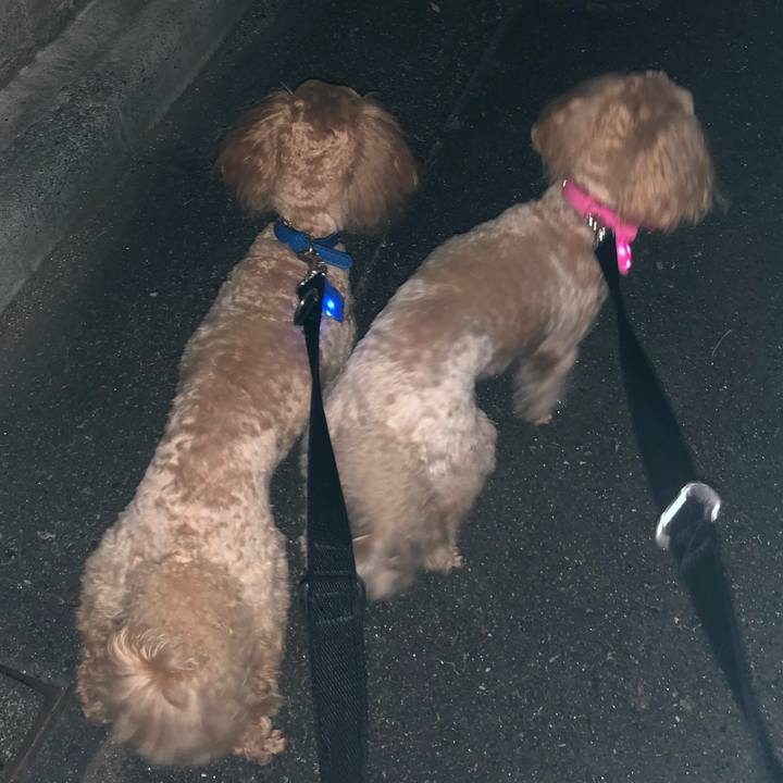 Bed62e10 e58a 46f1 8442 37e2243d0a8a 1666438485337