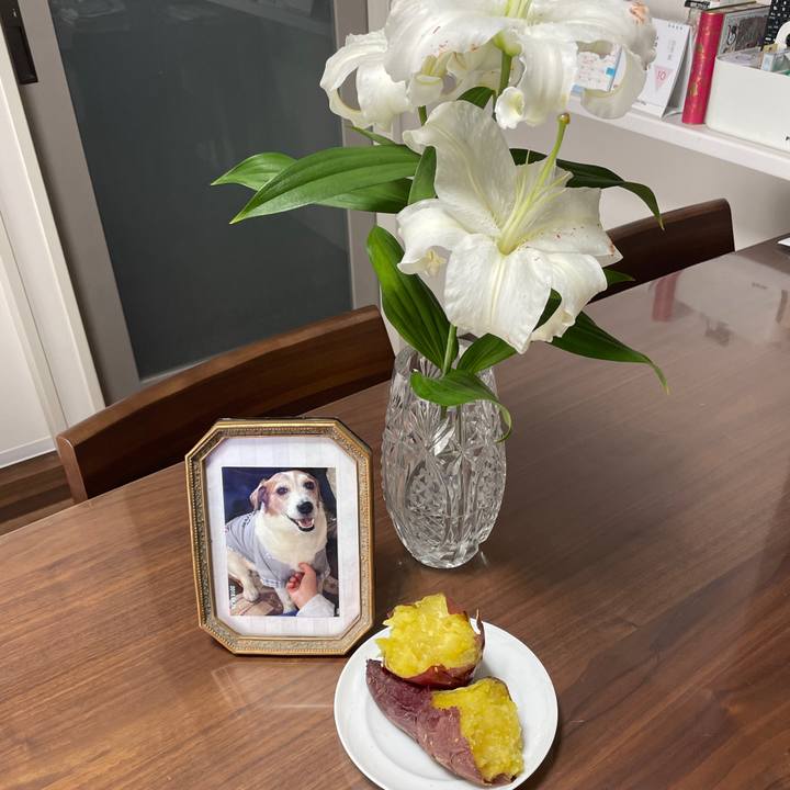 Bed63dfb c922 41c5 97be 797570bc3d56 1746845305338