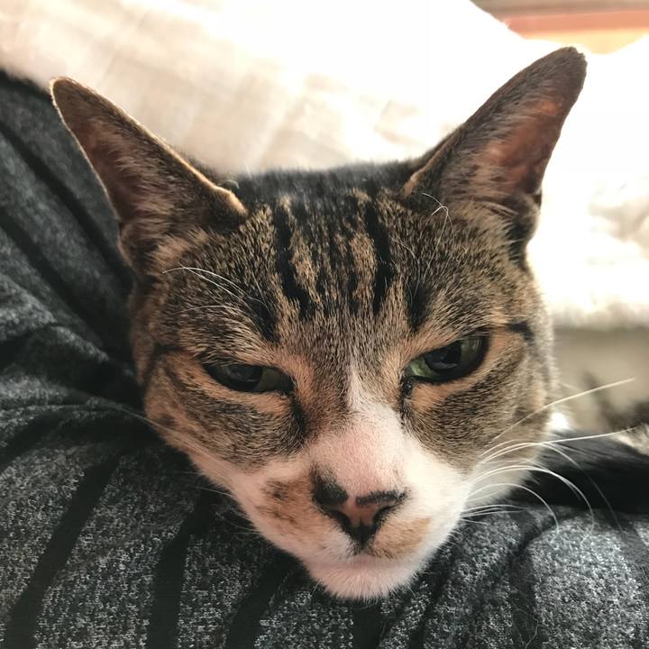 Bed64e03 a6a1 4d9f bb47 f661aaf21fbc 1524530998459