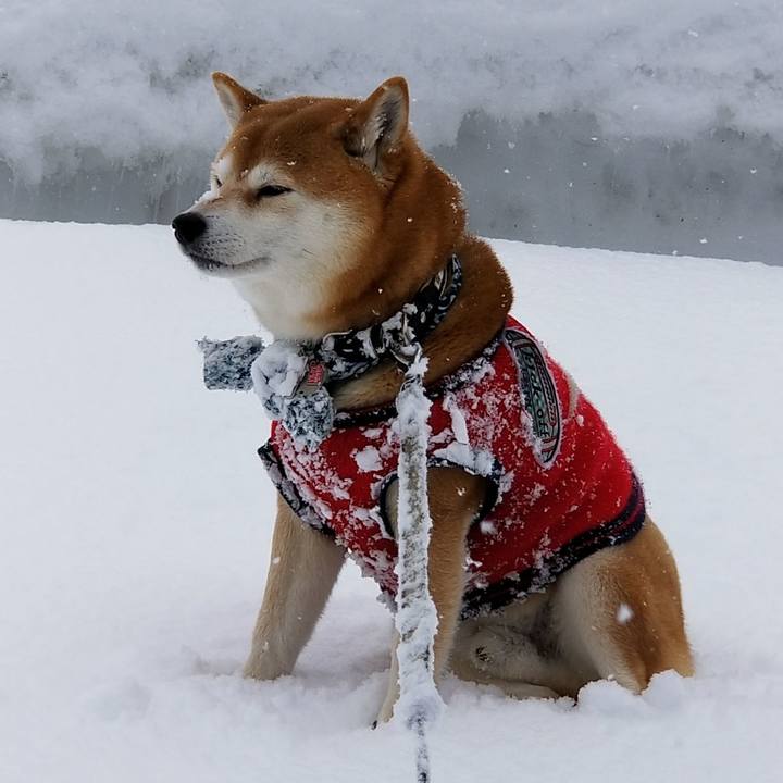 Bed674d6 09a7 4292 8060 c92eba739183 1518495157420