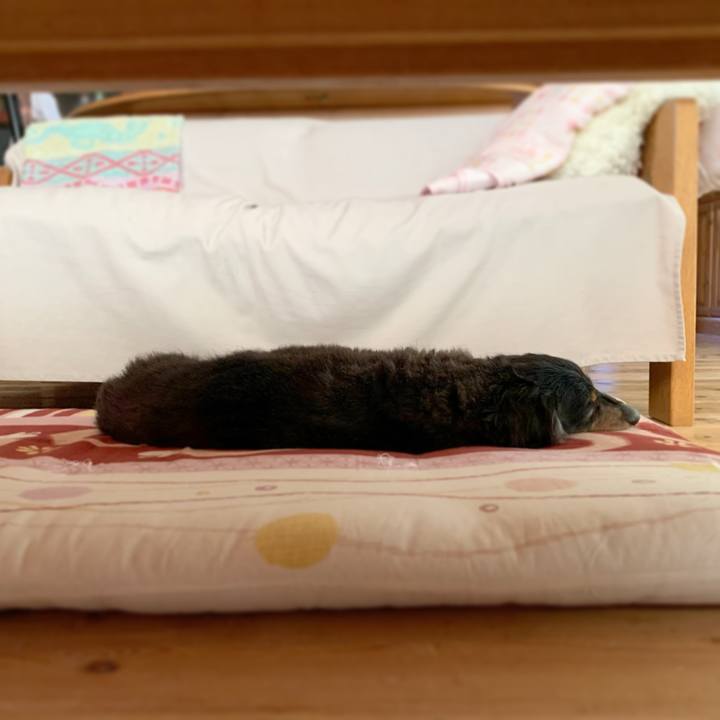 Bed6774e 7027 4d80 8f0a d2cdf046e7bd 1629766680969