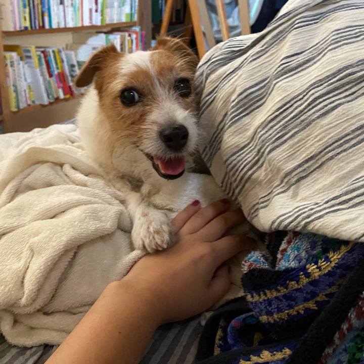 Bed6a8af 8576 402b 9159 7c6ff00168c2 1628093416000