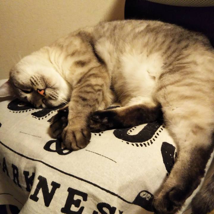 Bed6e1ae 8771 4d92 8311 1b67cd21a703 1560692772212