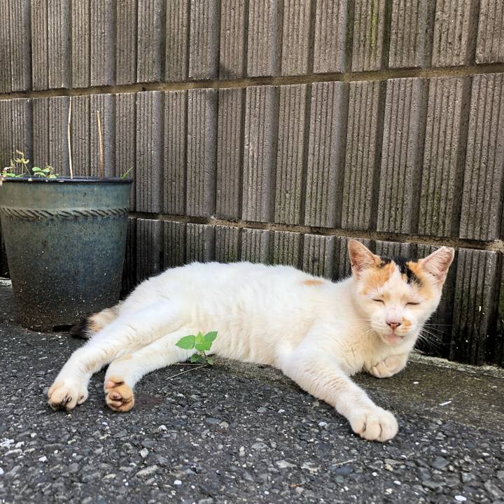 Bed70166 b266 4240 abf3 d368d360bd91 1626244238623