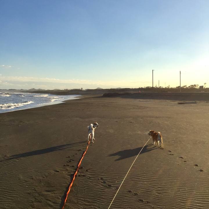 Bed70f06 75ef 407e bab6 a64bac850f8c 1542521410300