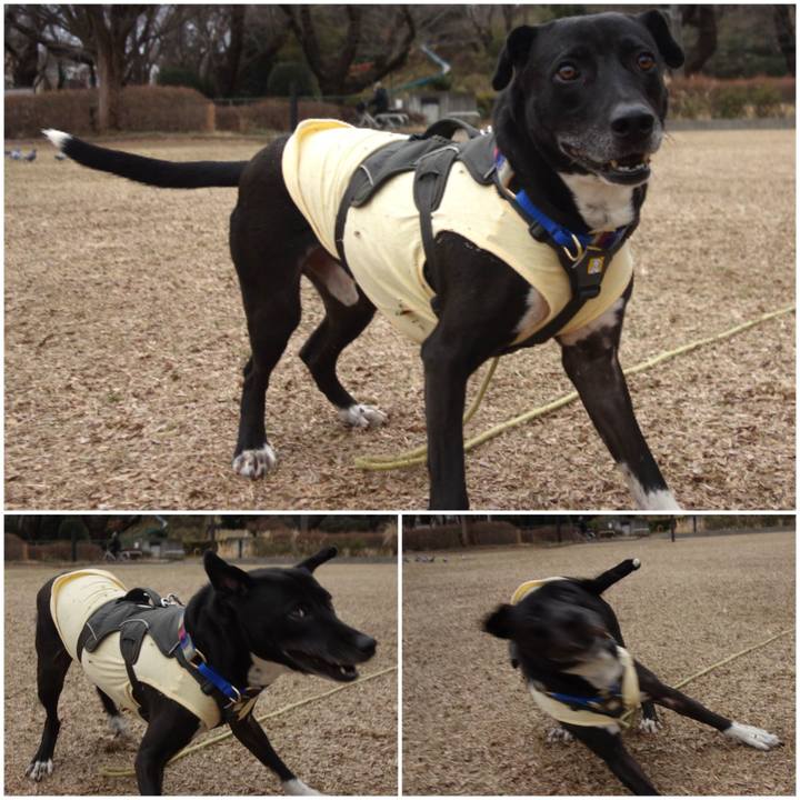 Bed717e7 4952 4b4c b872 a06d74b2c849 1644282719789