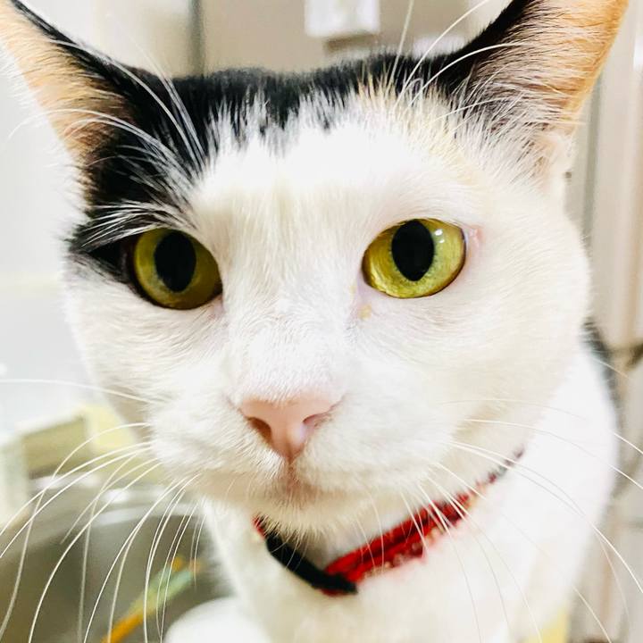 Bed736af a787 416d 8d9b 9fca549edf2c 1702207605240