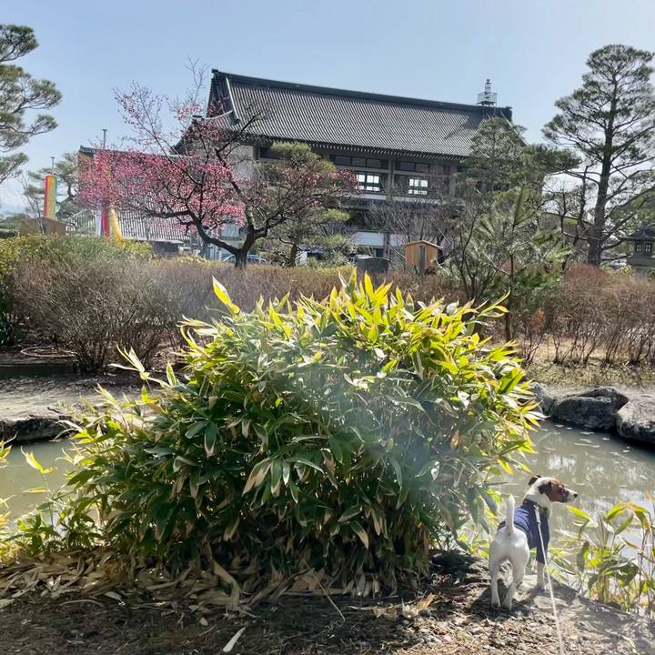 Bed74fb2 9973 4e1e 9d1b 88fd403db427 1648367734312