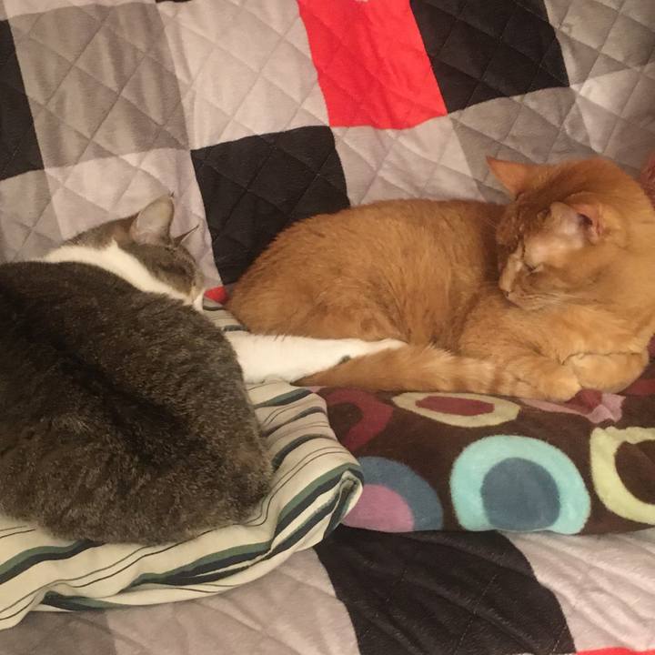 Bed7aebf b327 4b8c b695 1e6a753deea1 1633132602130