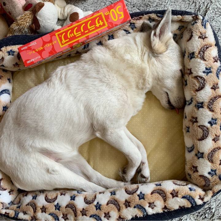 Bed7c3ac 8418 40ef b2e9 6e9b01a1bf5c 1743031893765