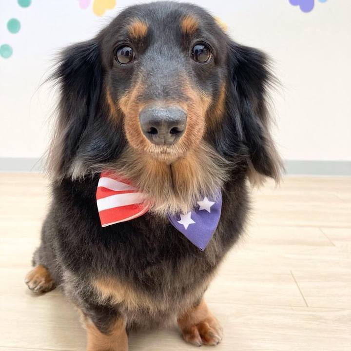 Bed7e2be 1139 4289 ae57 272ad5bf5d86 1677668878224