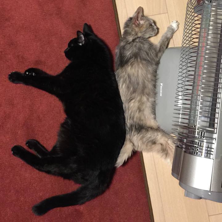 Bed7e4b3 0ddd 4a80 aa2e 331c94ccff49 1512914128332