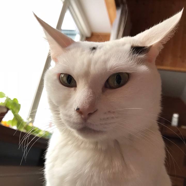 Bed7f6e8 7c85 4140 8cb7 eea1c35b768f 1545521149585