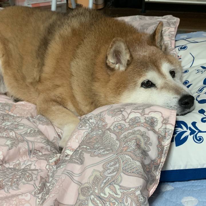 Bed834d9 74c6 402d a8c4 f85488a046dd 1569678454154