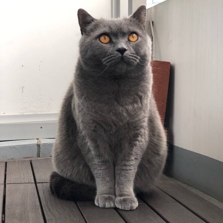 Bed83f73 f9a7 4623 8ded 44c32d19a6d8 1517105203332