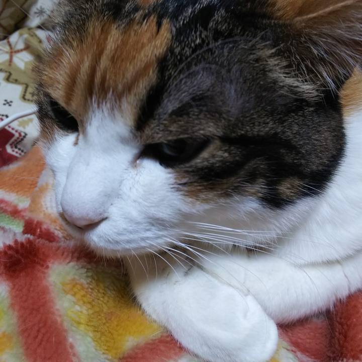 Bed8606e 33f3 49fc 9dc8 6fe6c69cb1a1 1548501729483