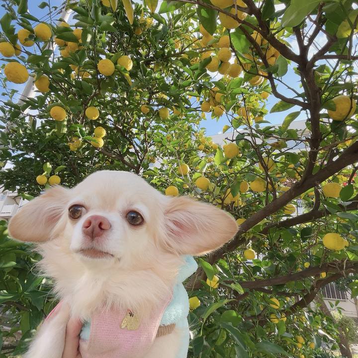 Bed87b62 f357 4e74 bd79 412ec8d264a1 1731330717774