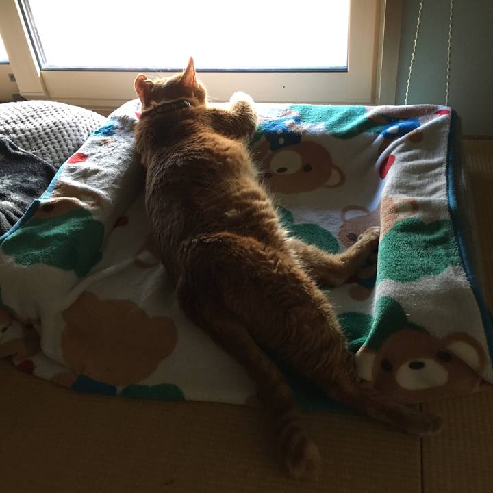 Bed8d5ae 9c5e 4d5e 87ba d7226a909e16 1605442814405