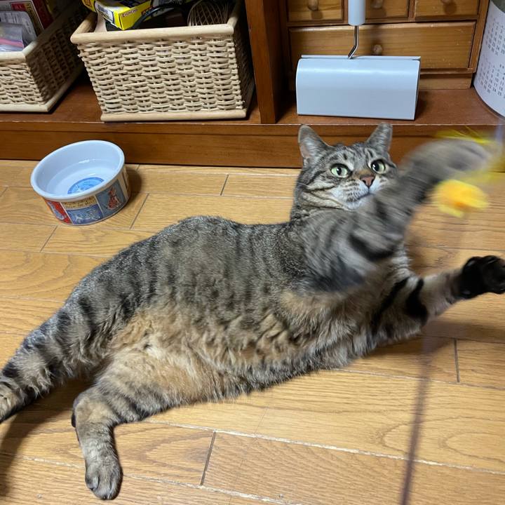 Bed8db3a 257d 437a 980a ae645241f2df 1616933078843