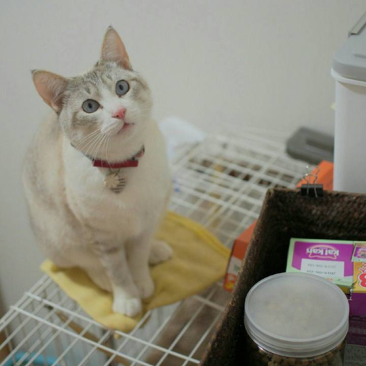 Bed939f0 7106 4784 b679 6fefd003b81c 1521431663123