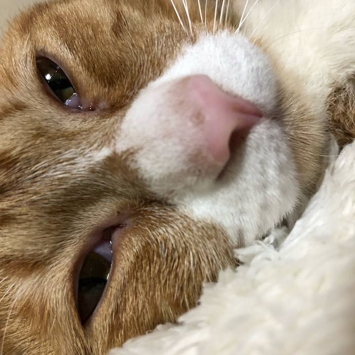 Bed94f28 fce7 4383 bf3b 7e997f9fa27b 1604737087914