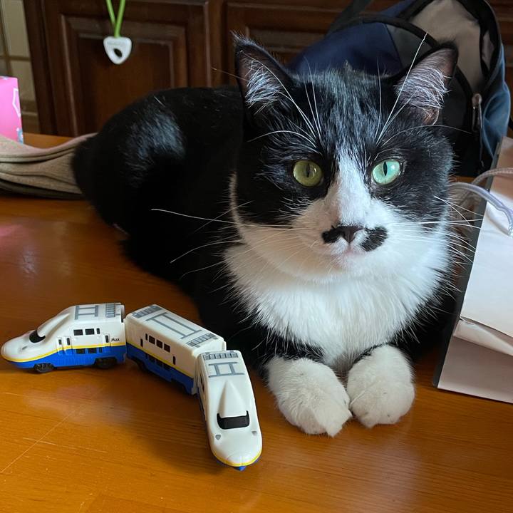 Bed95702 5c50 42b7 b100 154a915352b4 1660181150160