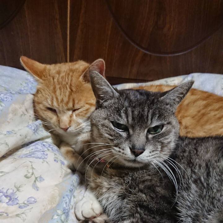 Bed98d82 3d2c 43e4 8c80 9e50b760079c 1582719624250