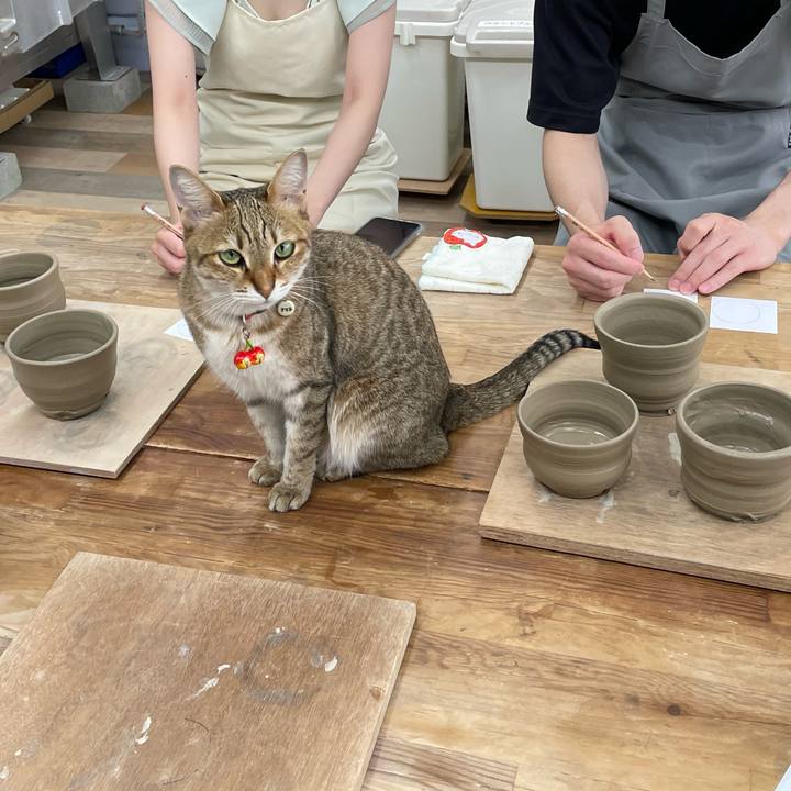 Bed9c1ee c22f 41c3 b993 09494113982c 1687521999541