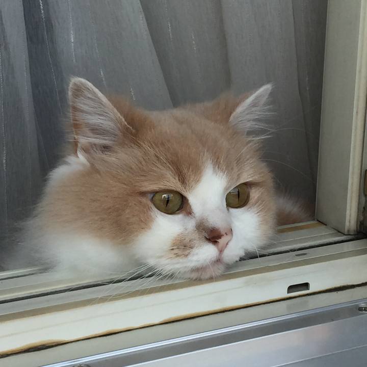 Bed9e0ea 19cf 418a 98d4 5438441dd2c8 1568878391249