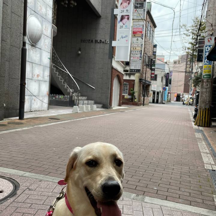 Bed9e309 a15f 42b1 849b 7c868f3a102d 1635586045365